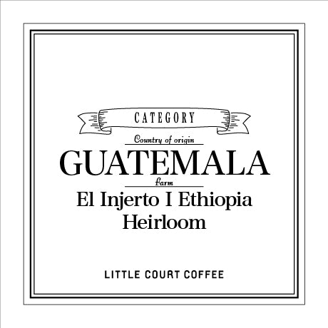 浅煎り/グァテマラ/エルインヘルト/エチオピア
